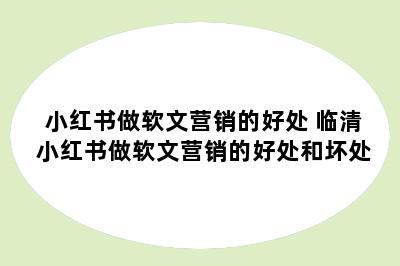 小红书做软文营销的好处 临清小红书做软文营销的好处和坏处